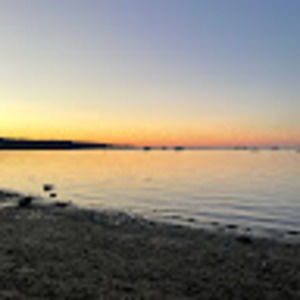 Meet your Posher, Sydney